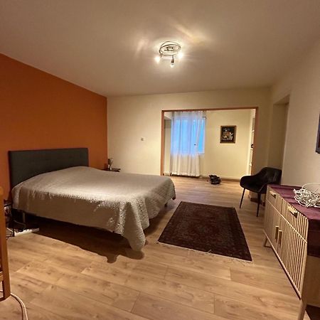 Bel Appartement En Rdc Proche Strasbourg Nice Apartment Very Near שטרסבורג מראה חיצוני תמונה