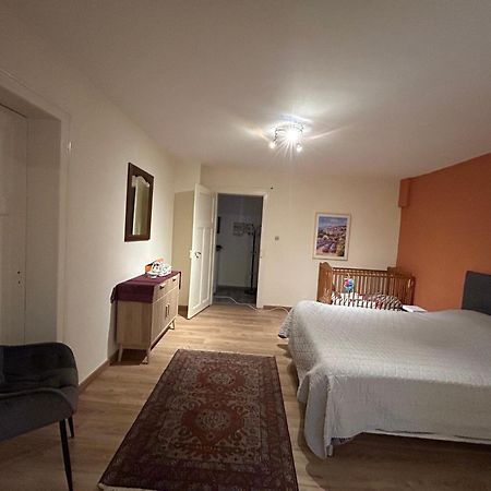 Bel Appartement En Rdc Proche Strasbourg Nice Apartment Very Near שטרסבורג מראה חיצוני תמונה