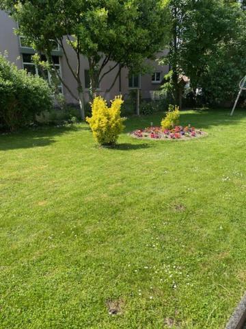 Bel Appartement En Rdc Proche Strasbourg Nice Apartment Very Near שטרסבורג מראה חיצוני תמונה